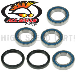 CanAm DS450 All Balls Rear Axle/Whl Bearings Seals