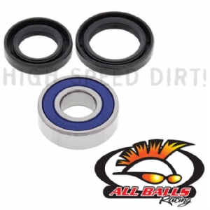 TRX250R 86-87 Lower Stem Bearing & Seals