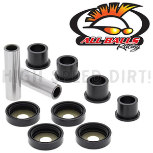 Banshee All Balls Lower A-arm Rebuild Kit