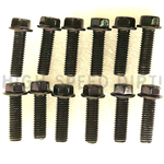 DWT G3 Bead Lock Ring Bolts Black