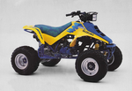 Suzuki LT250R - Special Order Parts