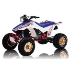 Honda TRX250R - Special Order Parts